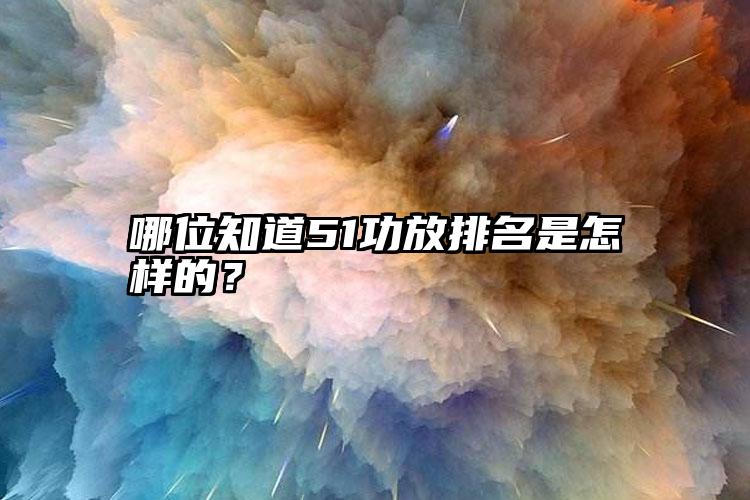 哪位知道51功放排名是怎样的？