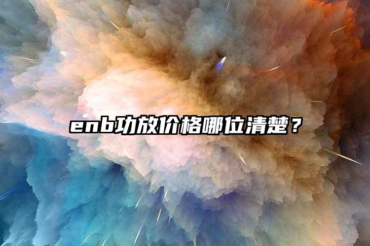 enb功放价格哪位清楚？